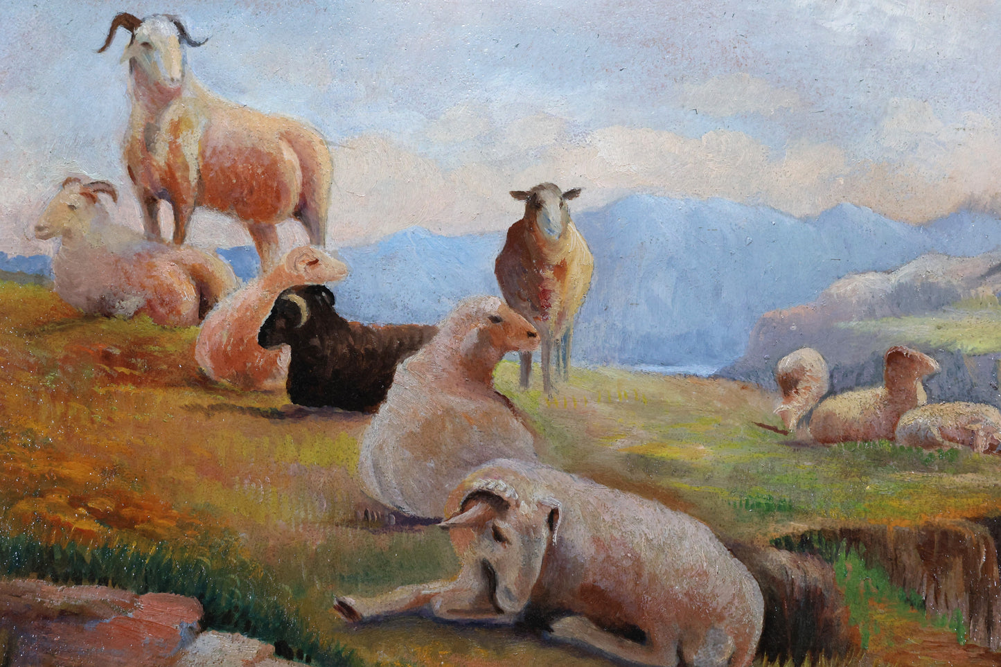 Sheep Resting on a Hillside by E.E. Pudmezoglu