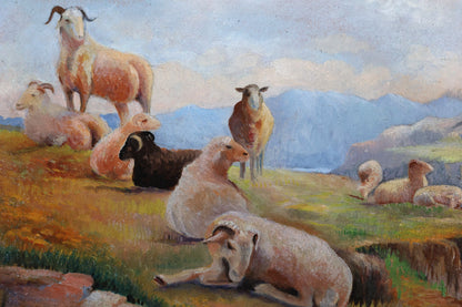 Sheep Resting on a Hillside by E.E. Pudmezoglu