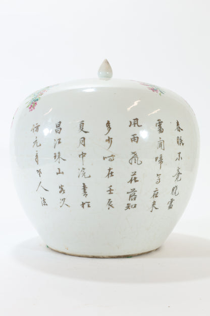 Chinese Porcelain Jar with Parrots and Peonies